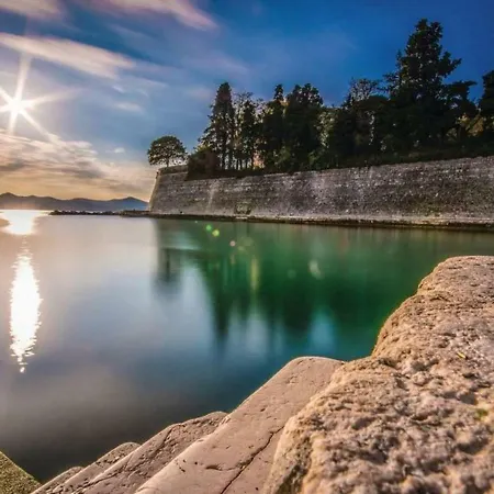 Maja Zadar